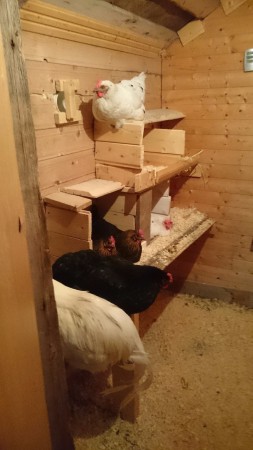ganska fridfullt på kvällen
