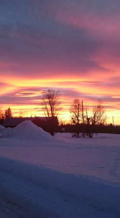 vår/vinter 2016