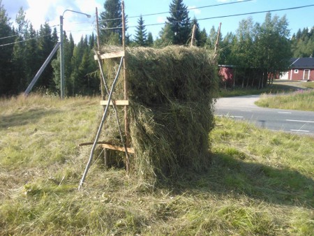 härssja 2013